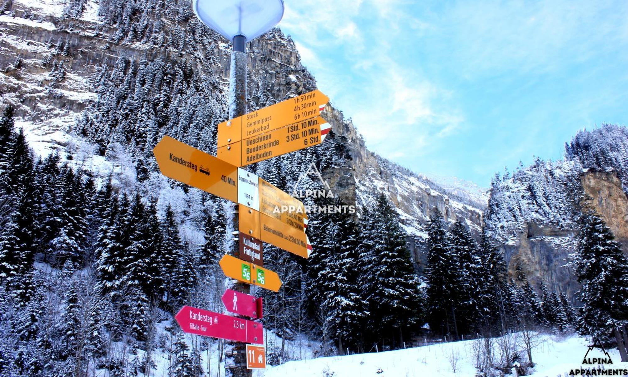 Alpina Appartment Kandersteg Exterior foto